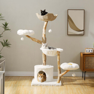 Tour pour arbre à chat moderne 59 "pour grands chats avec 2 perchoirs à fleurs - Poteau à griffer en bois massif naturel avec une vraie branche - Meubles pour chat Boho de luxe avec lit en osier