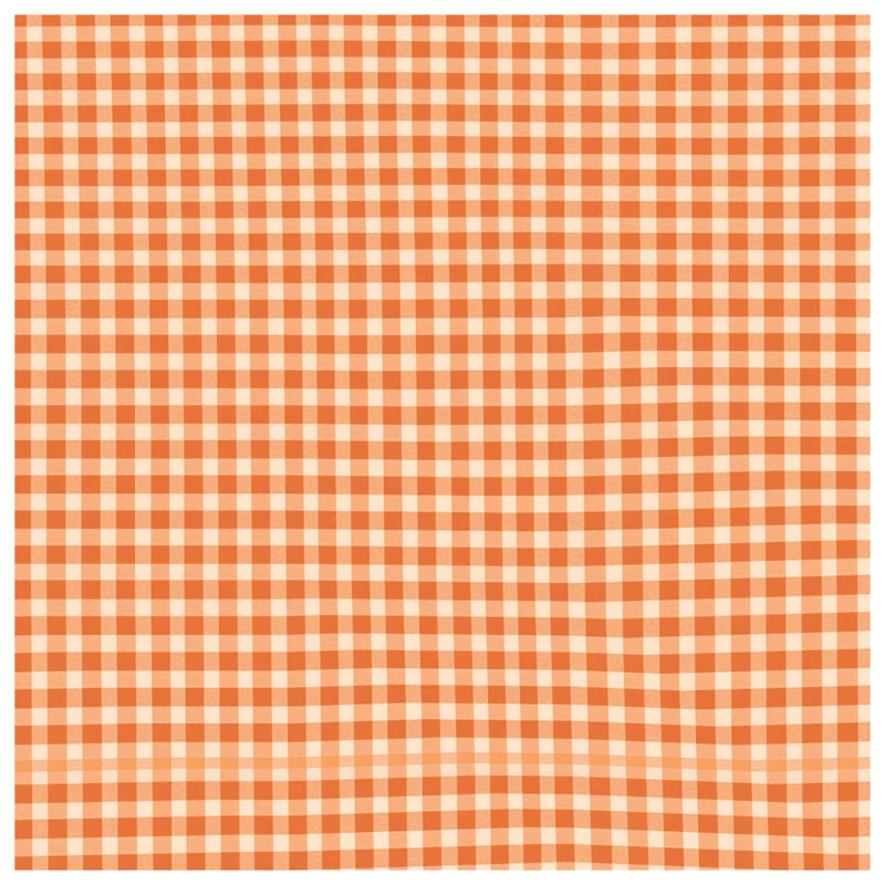 Orange White Gingham Comforter, Twin Extra Long