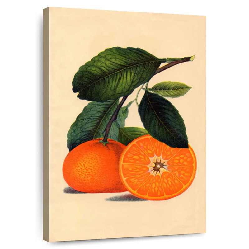 Yarlin Satsuma Orange 1887, 45" H x 30" W