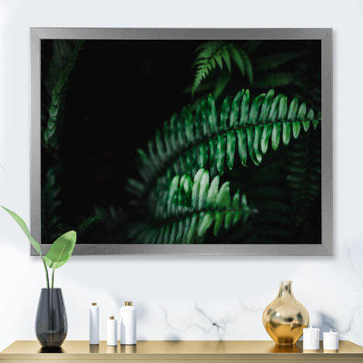 «Tropical Summer Green Leaf With Sunlight», reproduction d'art sur toile tropicale