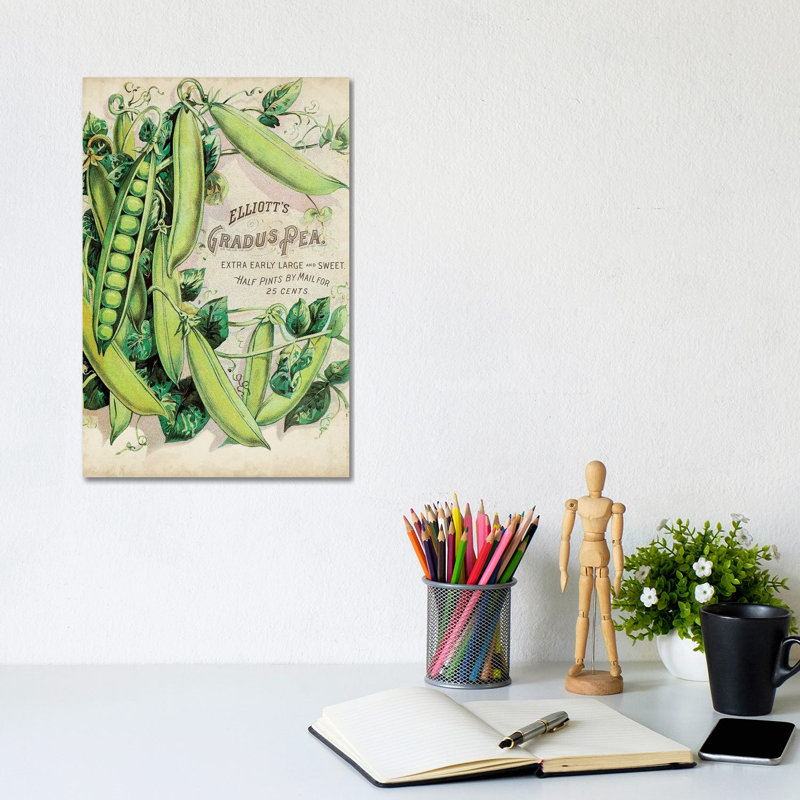 Antique Seed Packets V - Wrapped Canvas Print, 30.48cm H x 20.32cm W x 1.91cm D