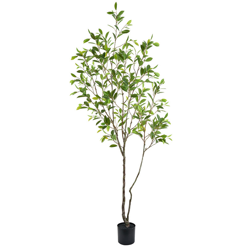 96"LAUREL TREE IN PLASTIC POT