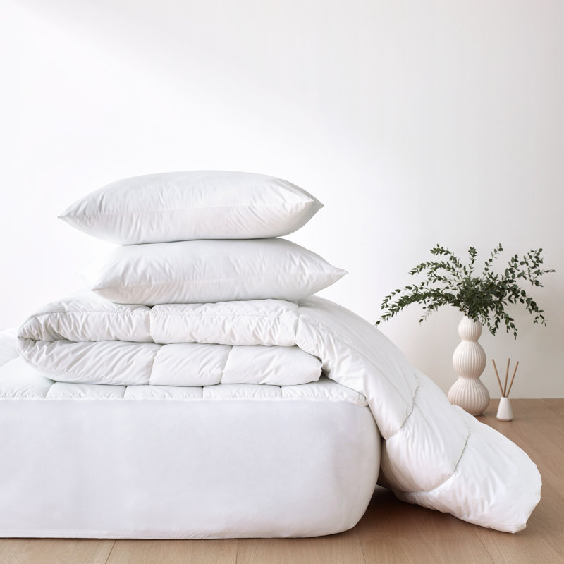 Clean Design Home Anti-Allergen 100% Cotton Cover 300 Thread Count Blown Bed Pillow, Standard 20" x 26"