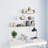 Wall Shelves Floating Display Shelves Wall Mounted for Book DVD-685200318