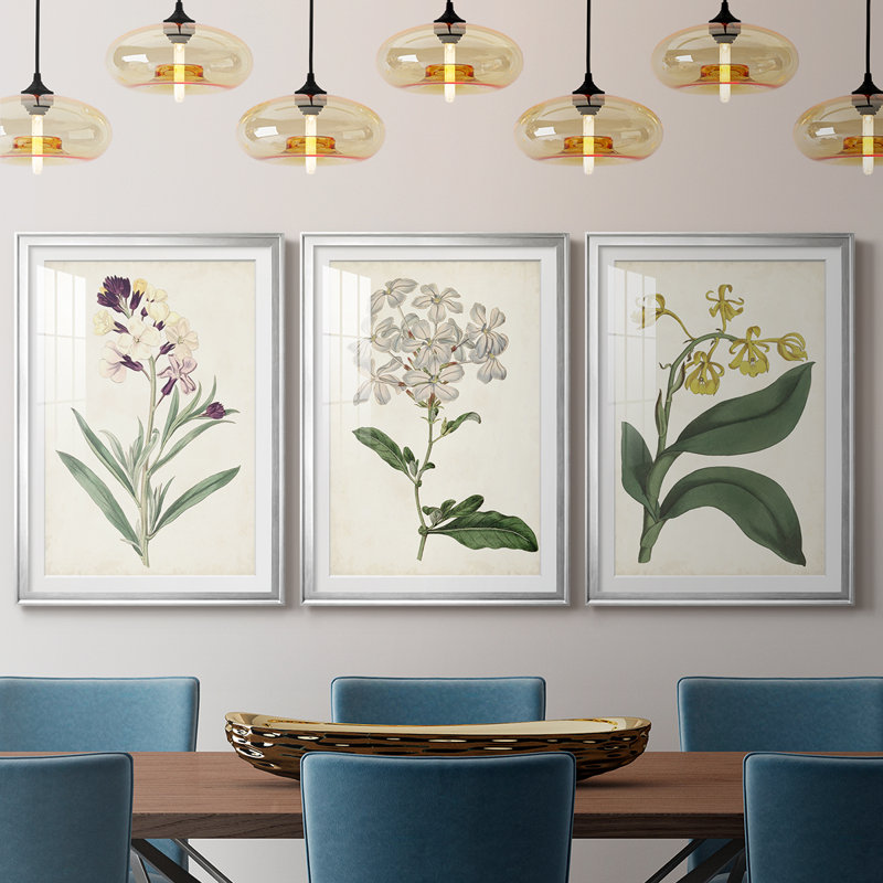 Antique Botanical Collection VII - reproduction sur mesure encadrée de qualité supérieure - 3 pièces, Argent argent