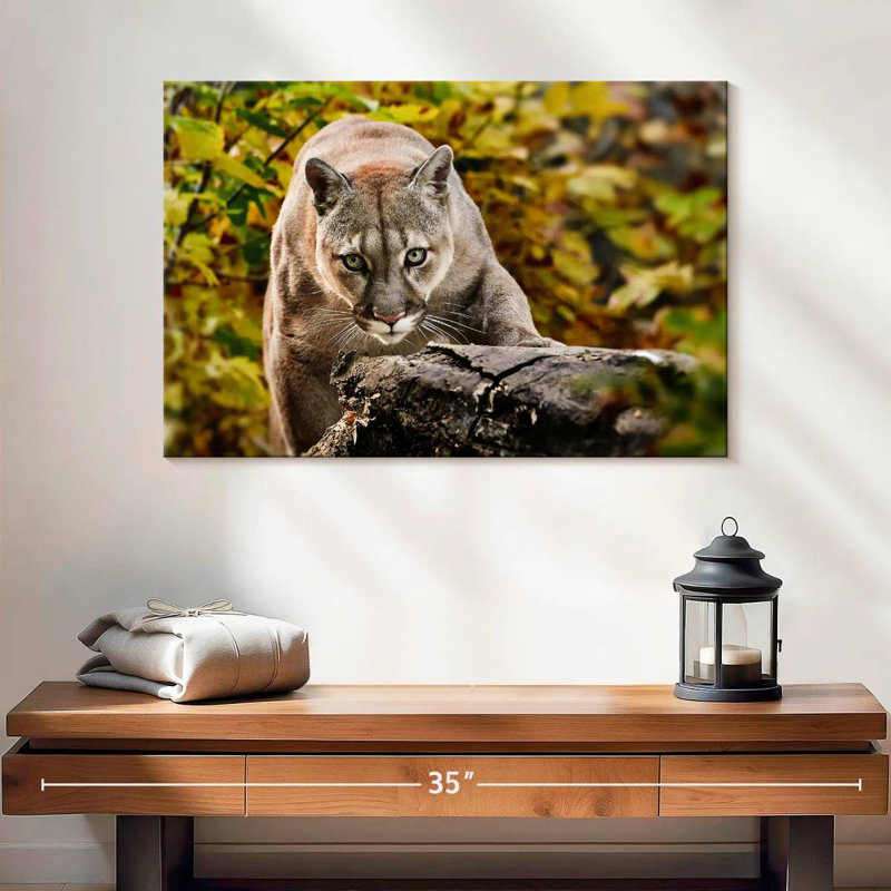 Cougar de chasse Brampt, H 16 po x l 24 po