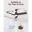 52" (3-Blade) Ceiling Fans with LED Lights and Remote Control