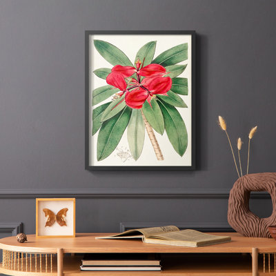 Flora of the Tropics III Framed Print - Solid Wood
