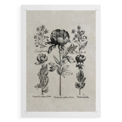 Motif floral rétro CCXCLV-III - reproduction de toile seulement - non encadrée