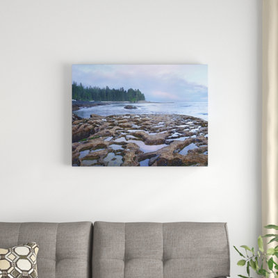 " Tide Pools Exposed At Low Tide "