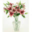 Majestic Stargazer Lily Natural Touch, Box Of 6 - 23 Inches