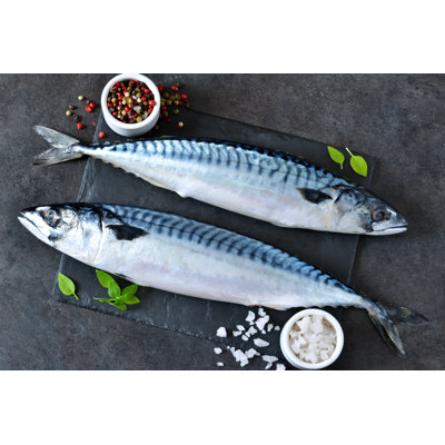 Raw Mackerel by Zefirchik06 - Wrapped Canvas Print