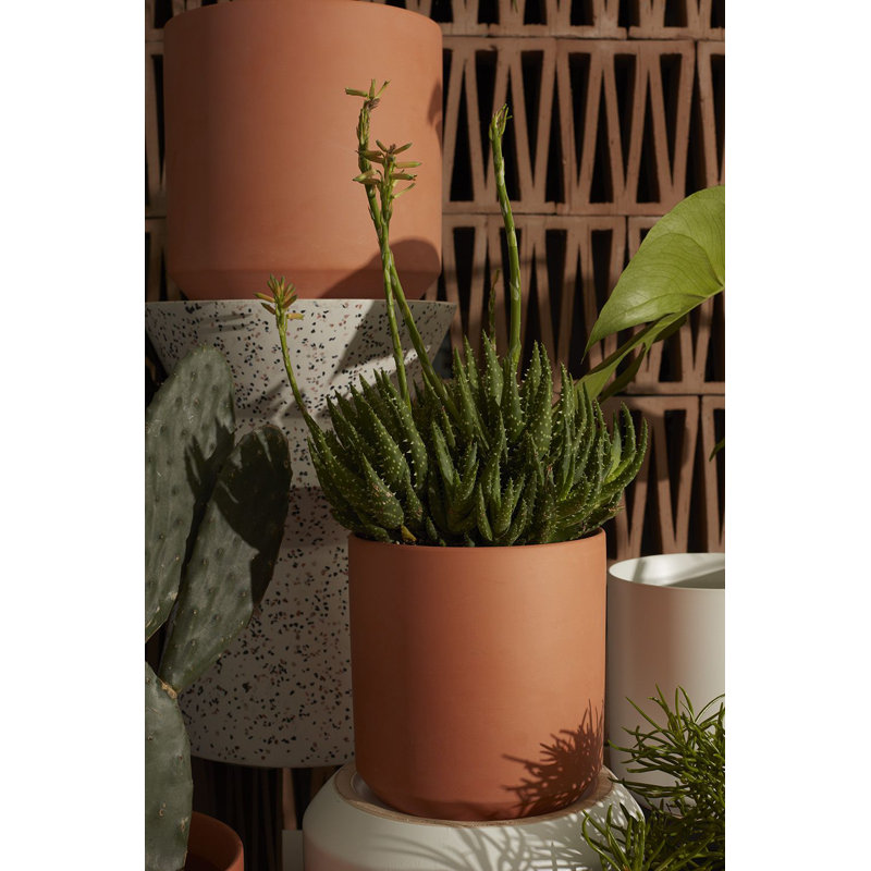 Pot à fleurs en céramique Parsons, H 9 po x l 8,5 po x P 8,5 po, Terre cuite