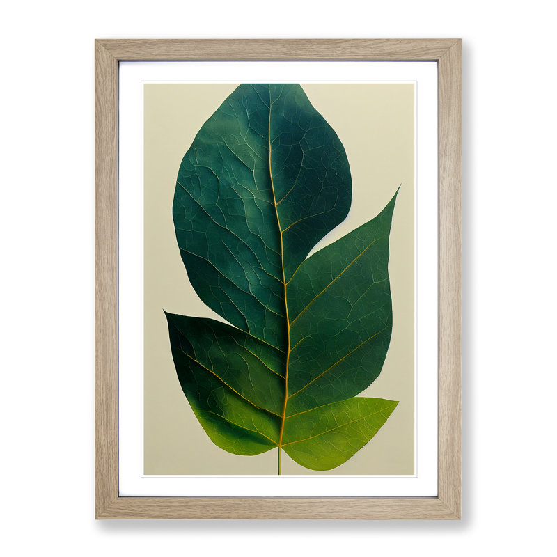 Single Plant Leaf No.2 - Framed Print, 46cm H x 34cm W x 2cm D, Oak Framed