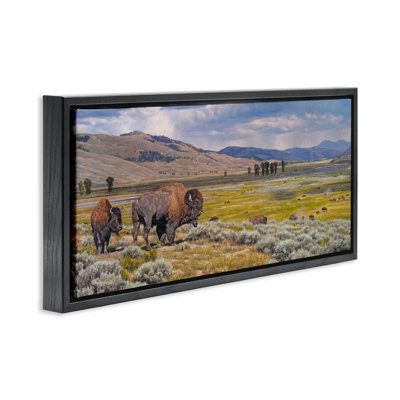 Art mural sur toile flottant Roisson Southwestern Bison par David Graham