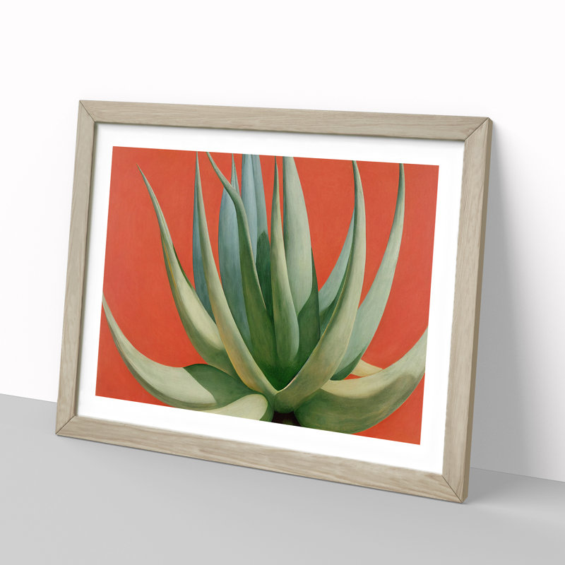 Compelling Aloe Vera Plant - Single Picture Frame Print, Oak Framed, 25cm H x 34cm W x 2cm D