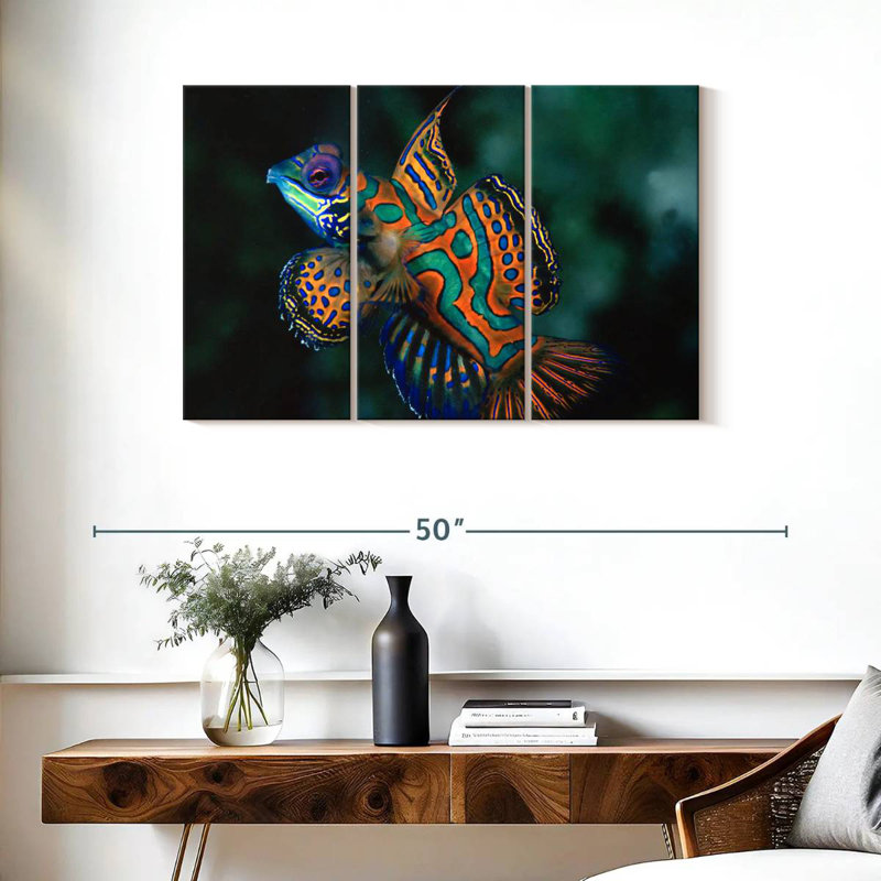 Brampt Mandarin Dragonet, 24" H x 38" W
