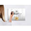 Magnetic Glass Dry Erase Board