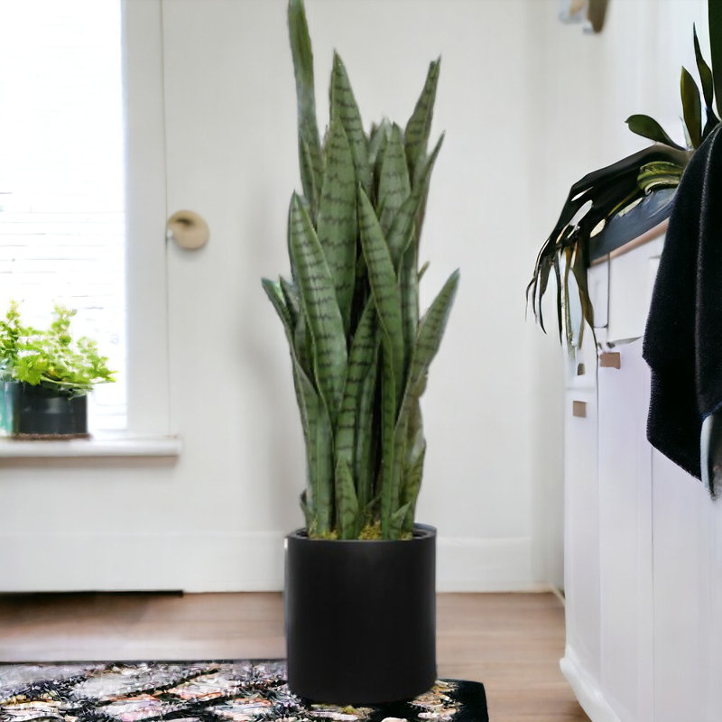 Pot de fleurs en fiberstone, Noir, H 12 po x l 12 po x P 12 po