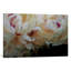 « ivoire fleur », reproduction sur toile-21492680-72009136-72009137