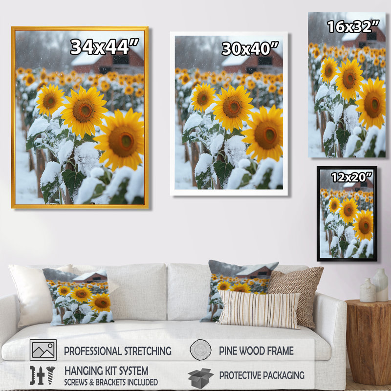 Giambrone, tournesols campagnards dans une basse-cour enneigée I - Tournesols, reproductions encadrées, H 40 po x l 30 po