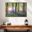 Bluebells and sunrise-535865495-535865515