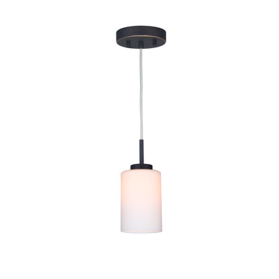 Sadowski 1 - Light Single Pendant