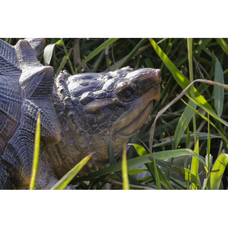 SNAPPING TURTLE STATUE
