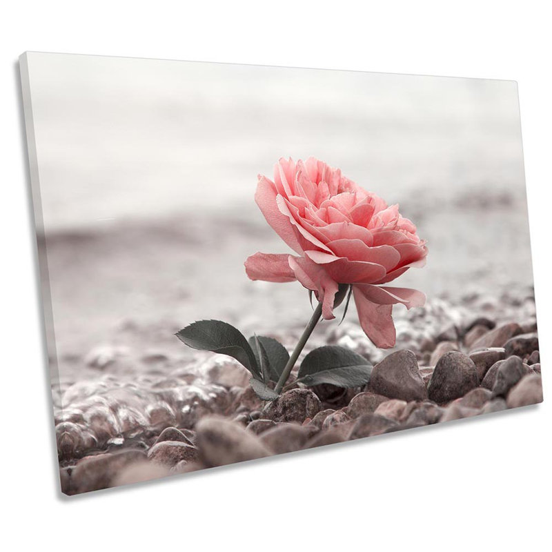 Flower Pebbles Rose - Wrapped Canvas Art Prints, 30.5cm H x 45.7cm W x 2cm D
