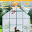 Serre extérieure en polycarbonate de 2,4 x 2,4 m (8 x 8 pi), avec base galvanisée, toit ajustable, double porte, utilisable en toutes saisons, idéale pour le jardinage extérieur par tous les temps.