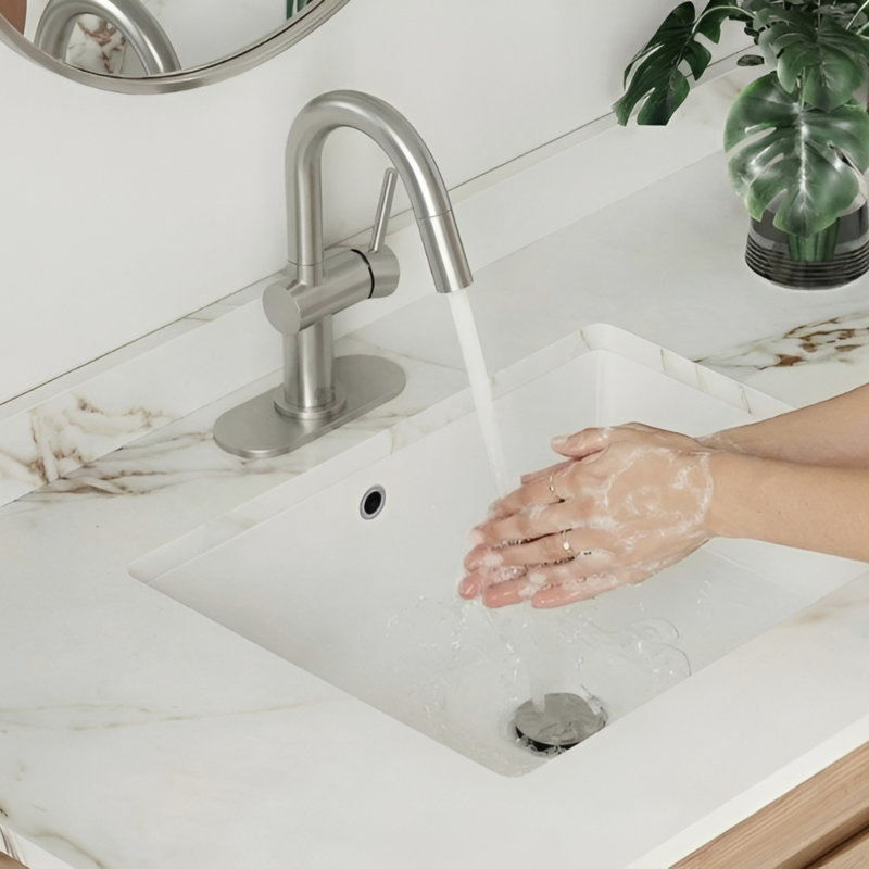 Single Handle Pull-Down Bathroom Faucet with Dual-Function Sprayer, Brushed Stainless Steel, Single Hole Vanity Sink Faucet