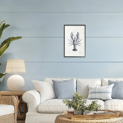 Scientific Lobster Specimen Framed Giclee, design by Tina Higgins Designs Inc.