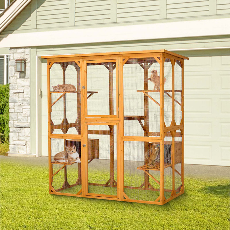 Enceinte pour chat d'extérieur avec toit de 72 po de hauteur pour chat Catio