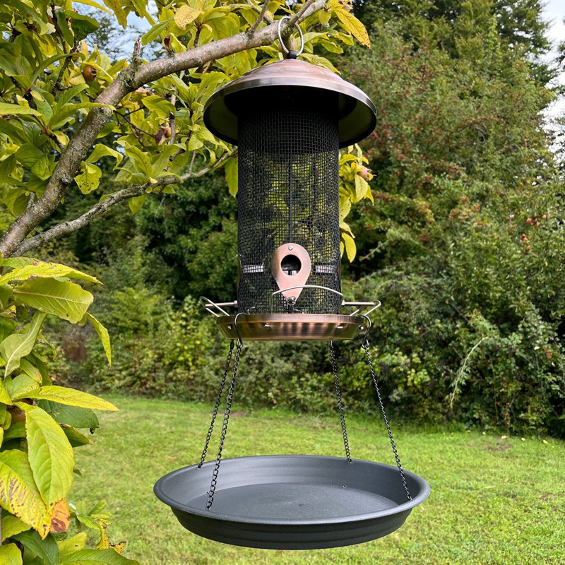 Allonte Hanging Tray Bird Feeder