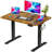 Putnam Height Adjustable Standing Desks-194064654-194064655