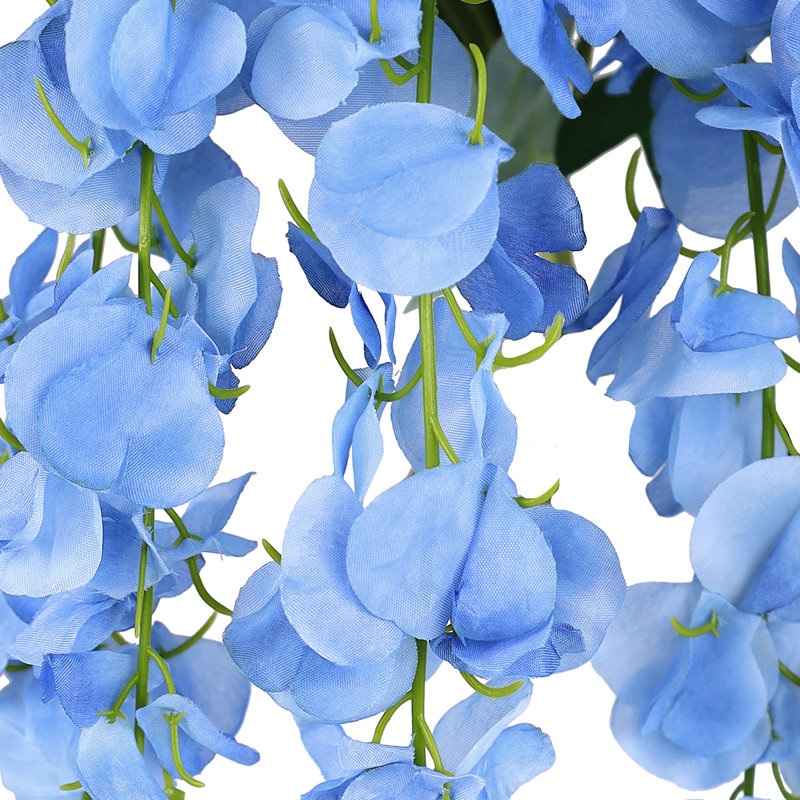 Buisson de glycine suspendu, Bleu