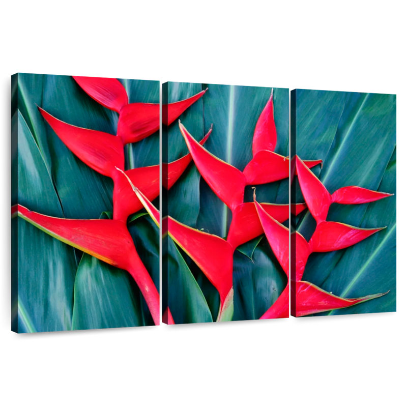 Harnek Bright Red Heliconia, 20" H x 33" W