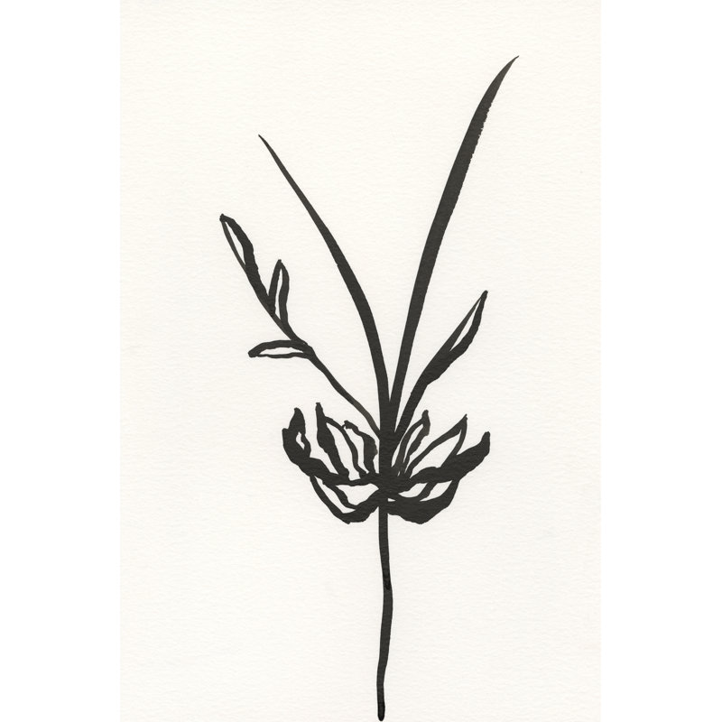 Ink Botanical Sketch I by J. Holland - Wrapped Canvas Painting, 46cm H x 30cm W x 3.8cm D