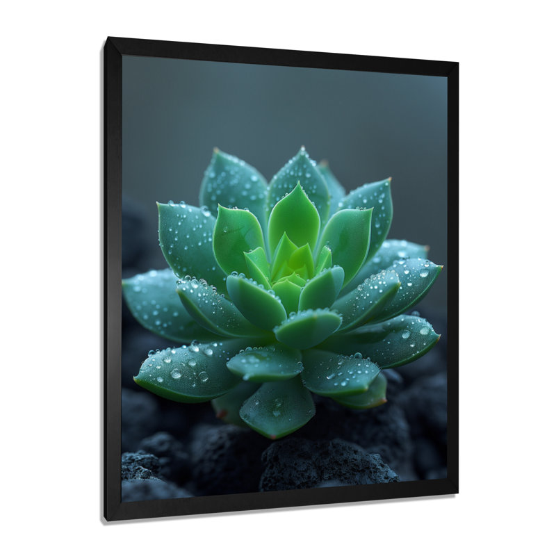 Gouttes de pluie vertes et grises sur un cactus du désert - décoration murale cactus floral, Toile encadrée noire simple
