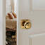 Bouton de porte d'intimité en forme de citrouille avec serrure sans clé-107363265