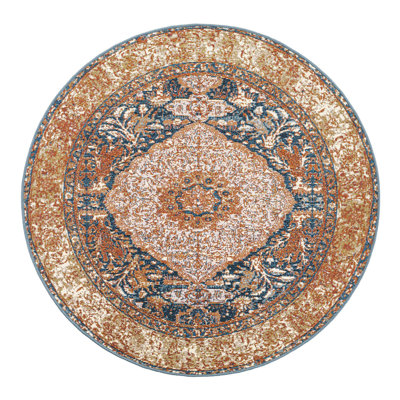 Indoor/Outdoor Traditional Area Rug