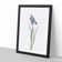 Iris Pratensis by Pierre-Joseph Redoute - Single Picture Frame Painting
