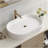 22.8-In Vessels Bathroom Vanity