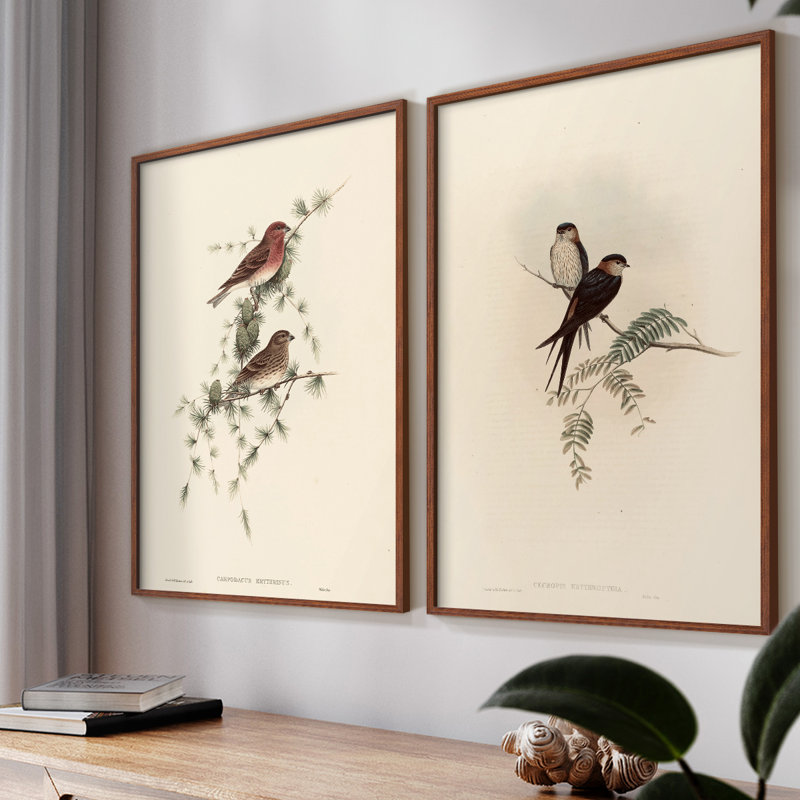 «Vintage Animal III», estampe numérique encadrée - ensemble de 2, H 23 po x l 58 po, Noyer