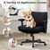 Ondreya Wayfair Basics Ergonomic Fabric Office Chair with Adjustable Armrest