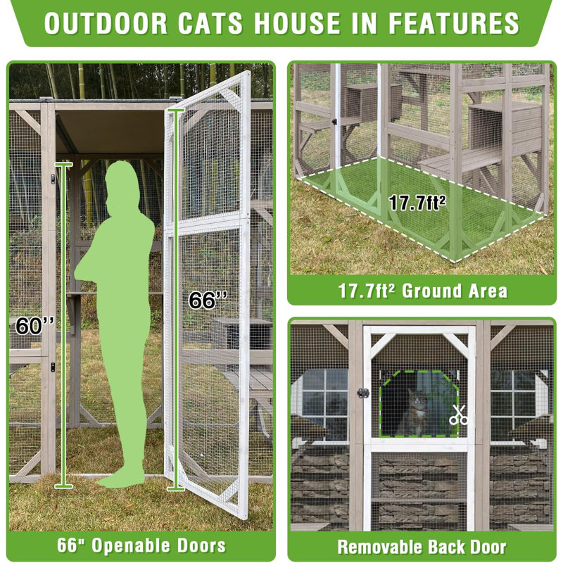 Outdoor Cat Enclosure