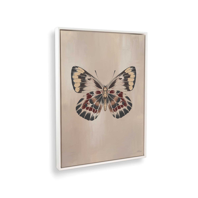 «Butterfly S croquis» par Cat Thurman Designs, reproduction d'art, Toile avec cadre, 36 W x 48 H, White