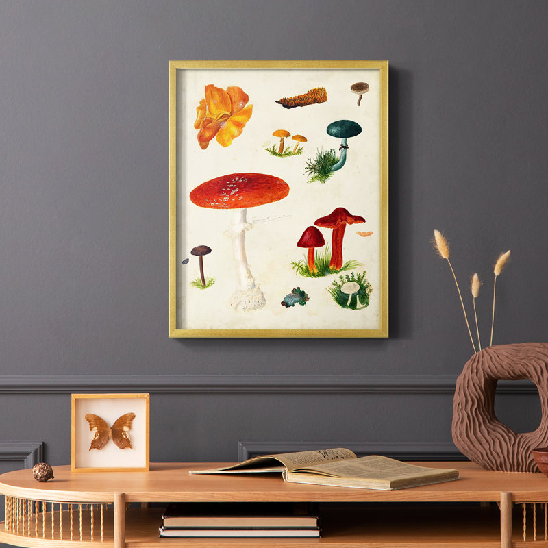 Reproduction encadrée champignon Mushroom Species, Or, H 14 po x l 11 po