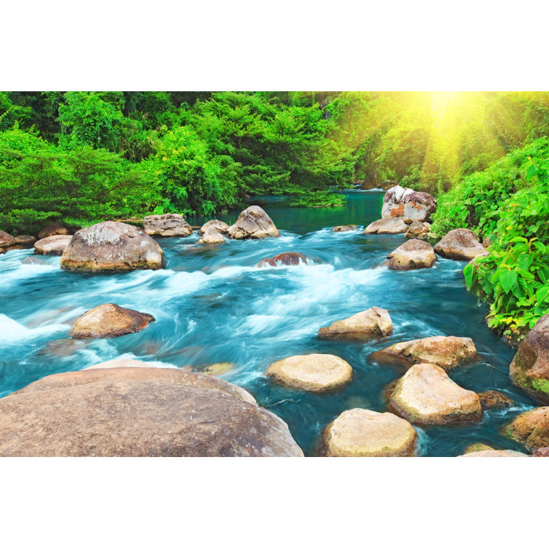 Stream - Photographie sur toile tendue, H 8 po x l 12 po