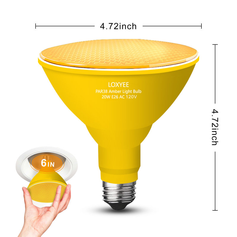PAR38 bug Light Bulb